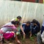 tree plantation (7)